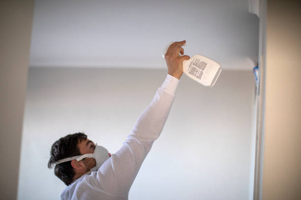 Professional Mold Remediation in Bristol, TN
