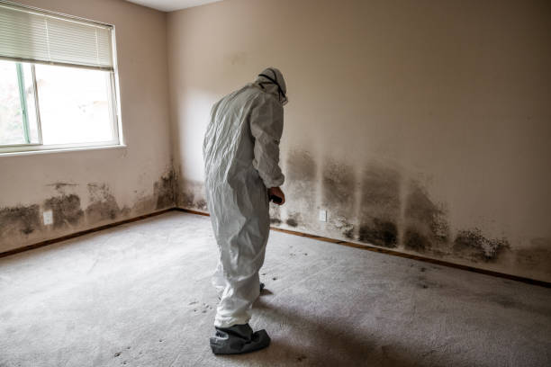Best Bathroom Mold Remediation in Bristol, TN